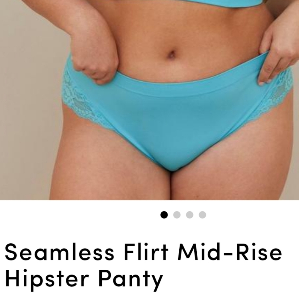 Torrid Seamless Hipster Panty